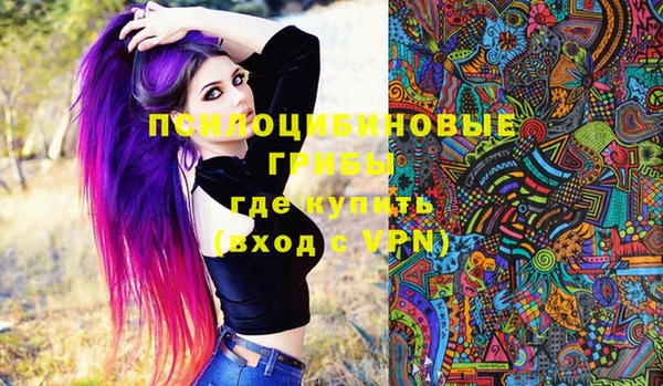 прущие грибы Абаза