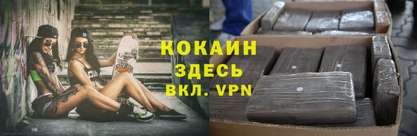 индика Алексин