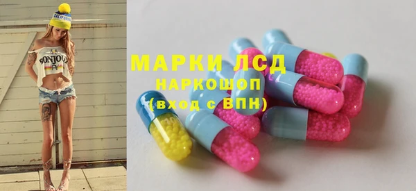 прущие грибы Абаза