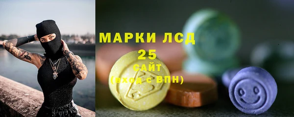 прущие грибы Абаза