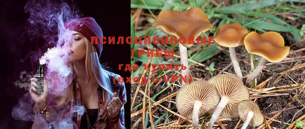 PSILOCYBIN Алексеевка