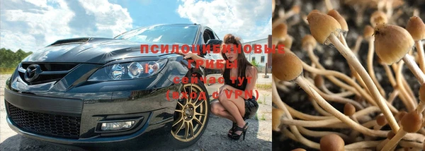 индика Алексин