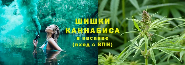 прущие грибы Абаза