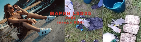 PSILOCYBIN Алексеевка