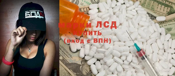 прущие грибы Абаза
