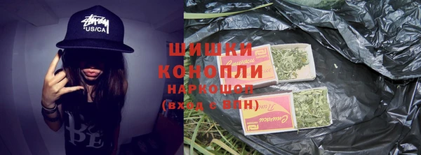 прущие грибы Абаза